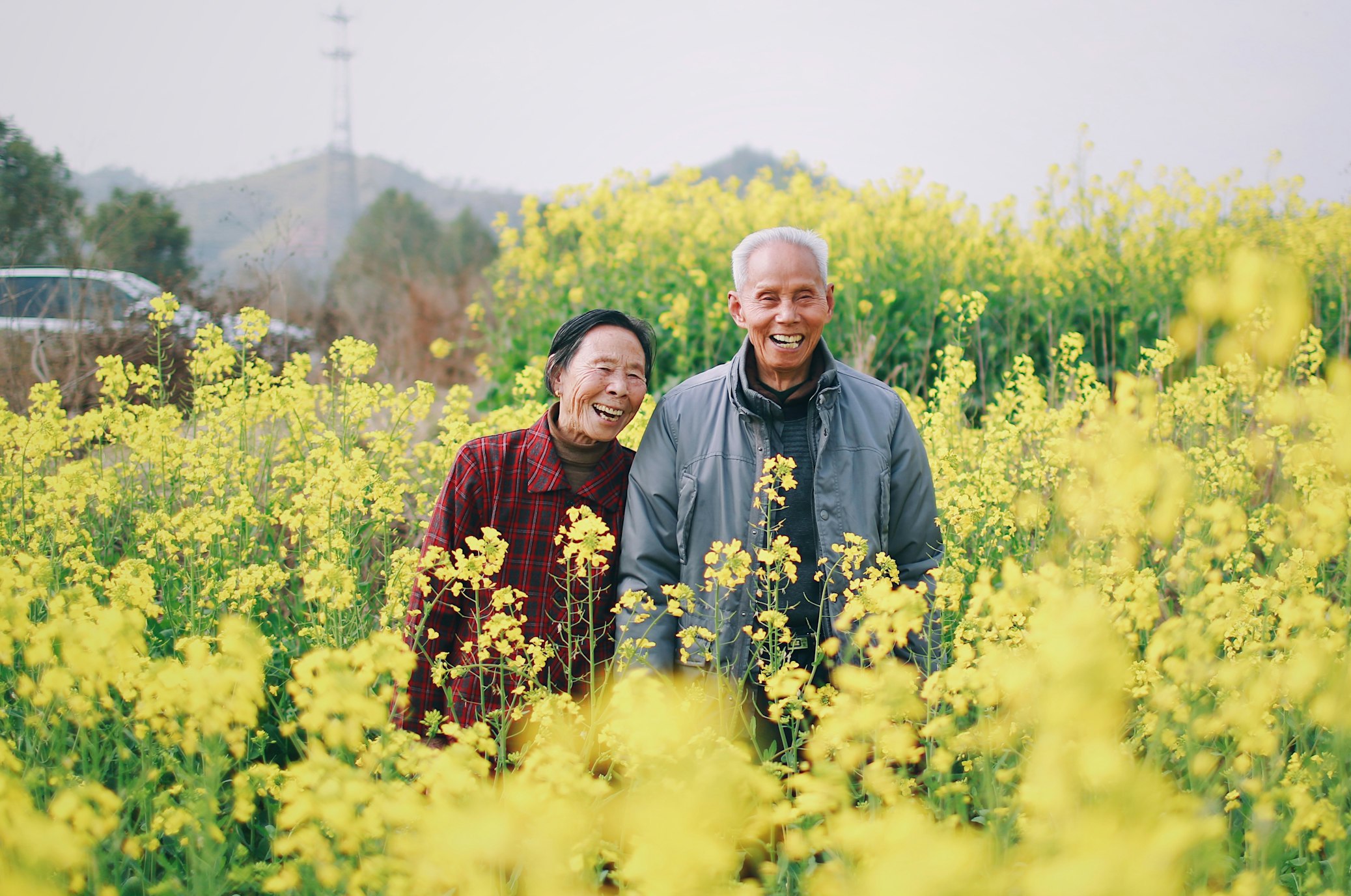 a happy senior couple standing in the blooming field