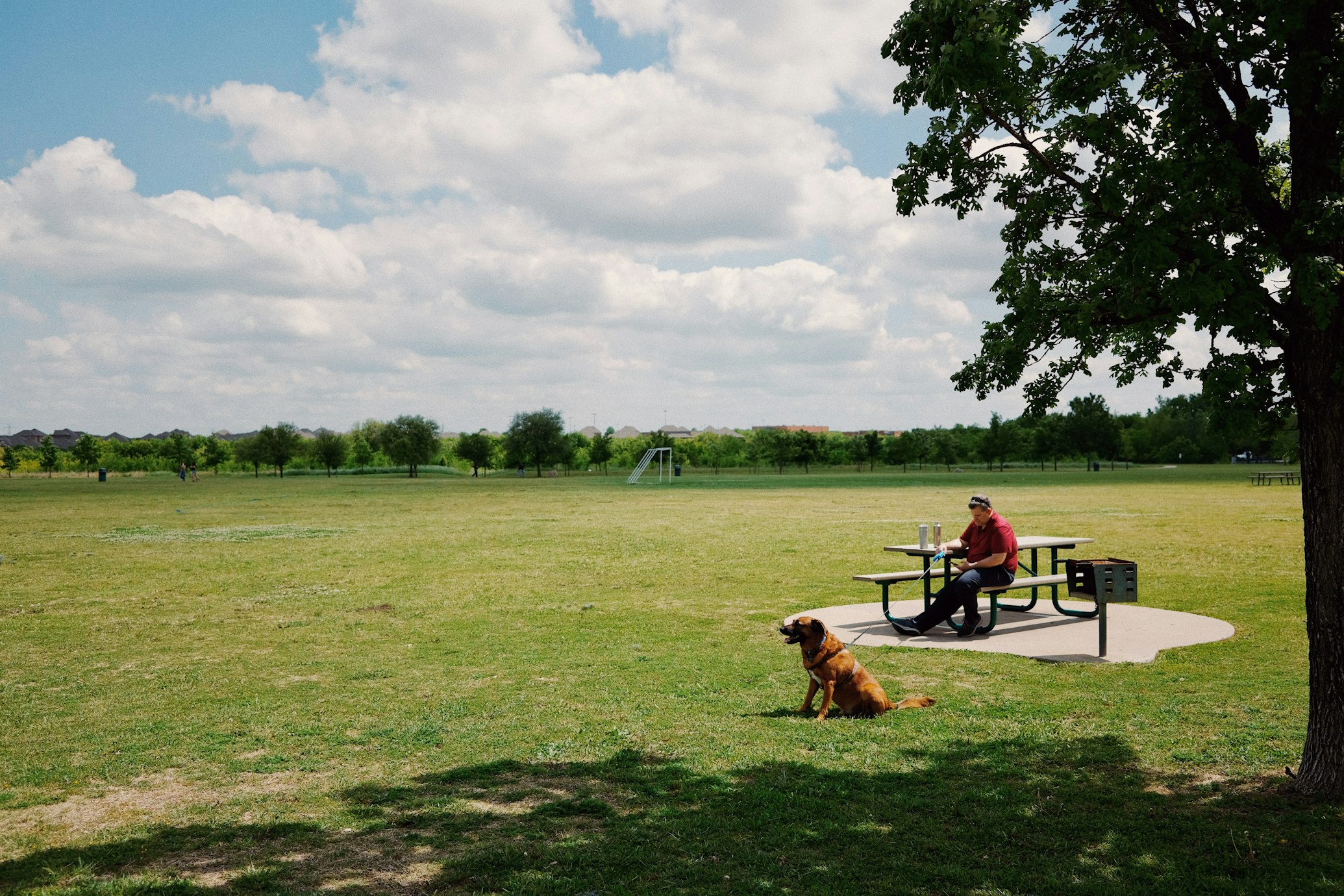 a man sitting on a bench with the dog in the field