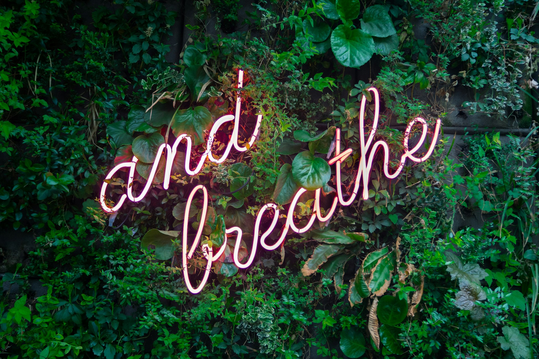 a neon sign reminding to remember breathing